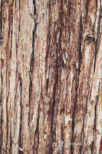 bark texture