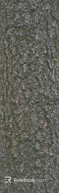 bark texture