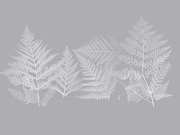 plant pattern texture (ID:ffabg95769)
