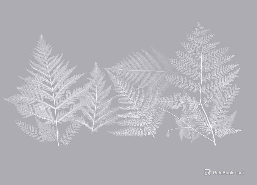 plant pattern texture