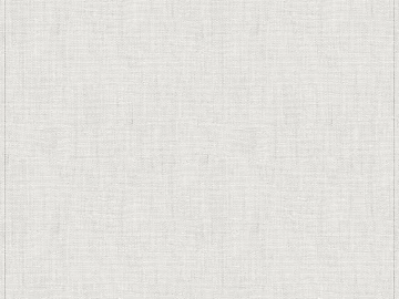 plain cloth 3d model