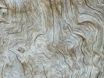 old wood texture (ID:ffaeg82887)