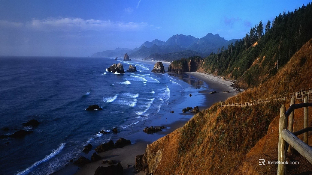 Wild Scenery texture