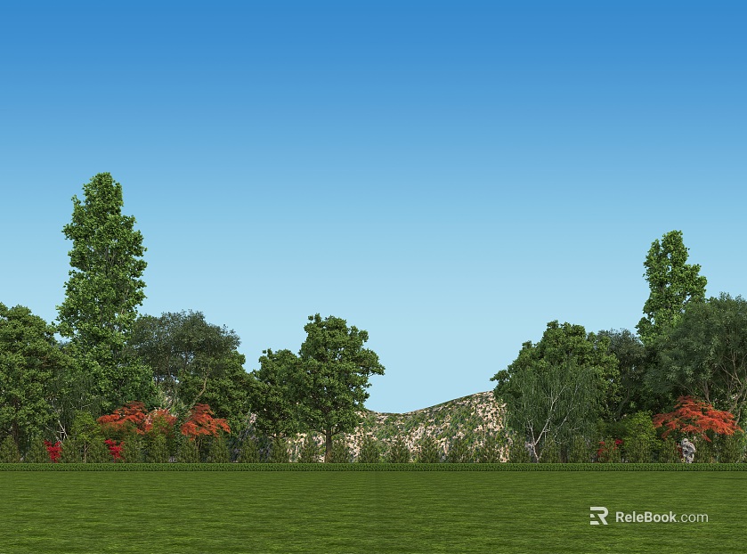 Green Field Grassland Landscape texture