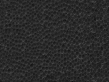 Black and White Bump 3d model