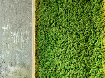 Yamaguform texture (ID:ffabg41274)