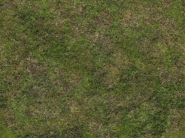 grassland soil 3d model