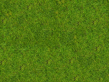 Turf texture (ID:ffajf5701)