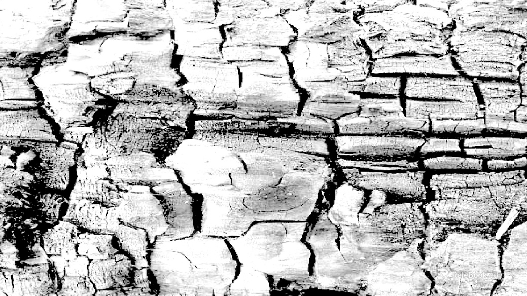 Black and White Bump texture