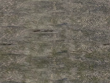 bark texture (ID:ffaeg66769)