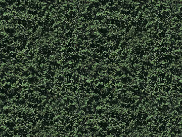 Plants texture (ID:ffaag32942)