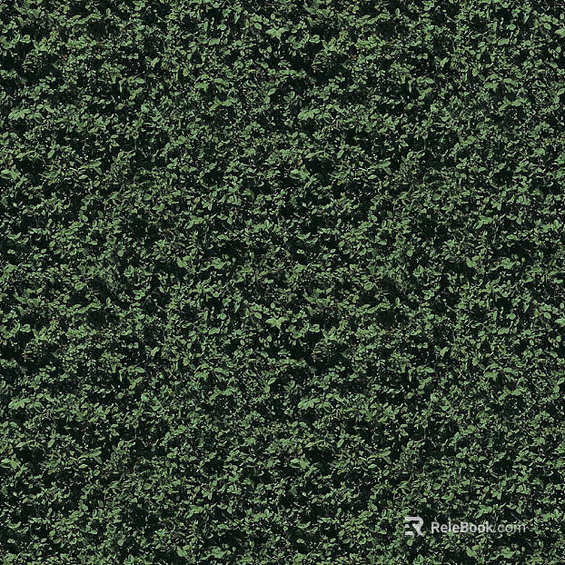 Plants texture