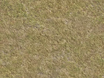 Turf ground texture (ID:ffaaf0659)