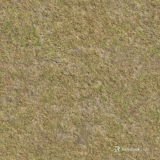 Turf ground texture