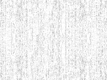 Black and white wood grain texture (ID:ffagg51279)