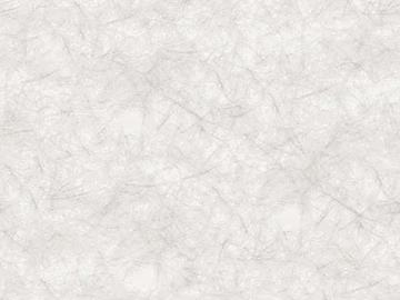 Modern Light Ice Crack Plate Transparent Film texture (ID:ffajh808727)