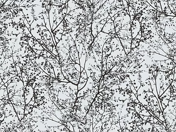 plant pattern texture (ID:ffaeg79116)