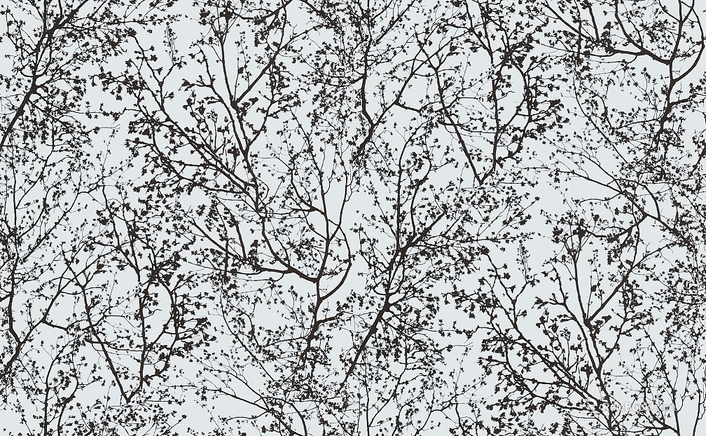 plant pattern texture