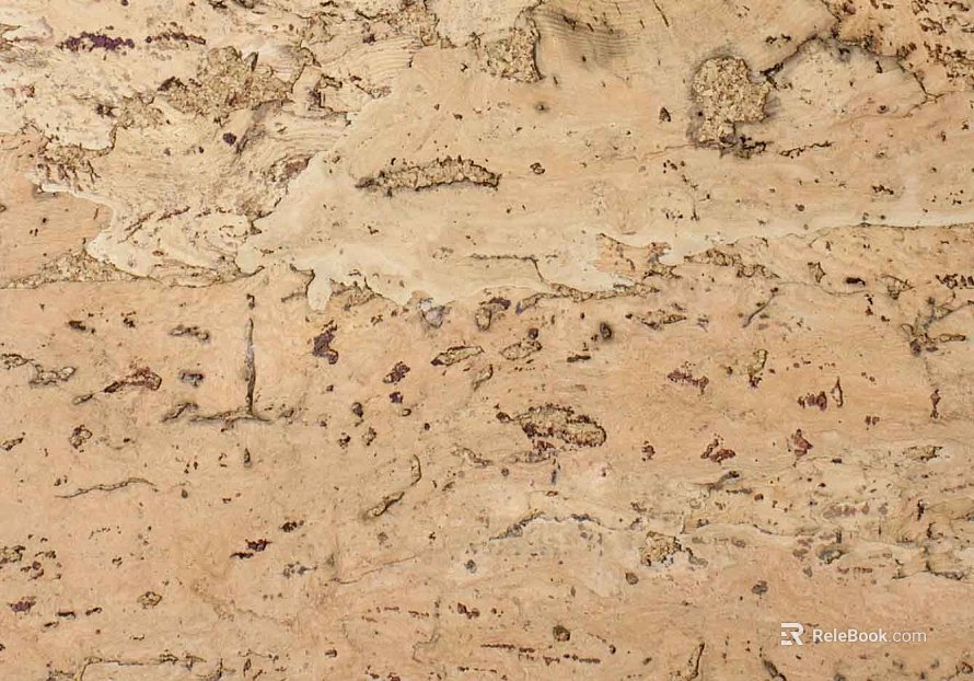old wood texture