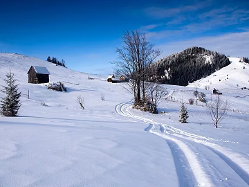 Snow 3d model
