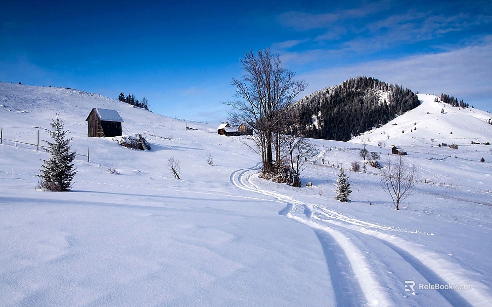 Snow texture