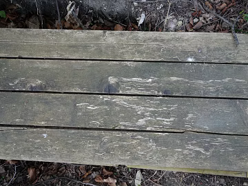 Wooden panel texture (ID:ffaeg63273)