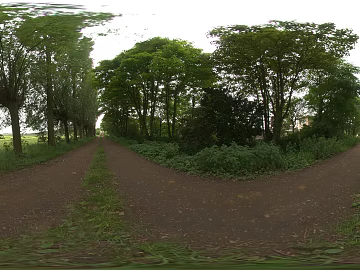 Outdoor Woods Trail Daytime HDR texture (ID:ffabg28101)