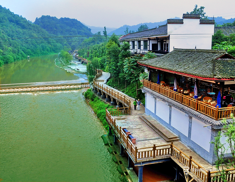 Wild Scenery texture