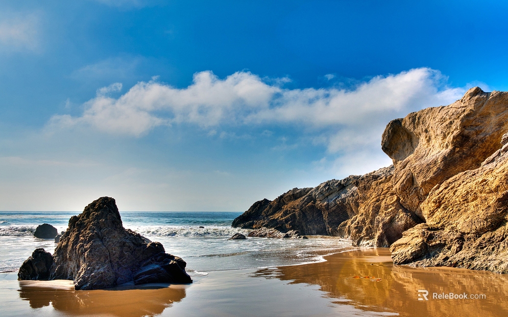 Wild Scenery texture
