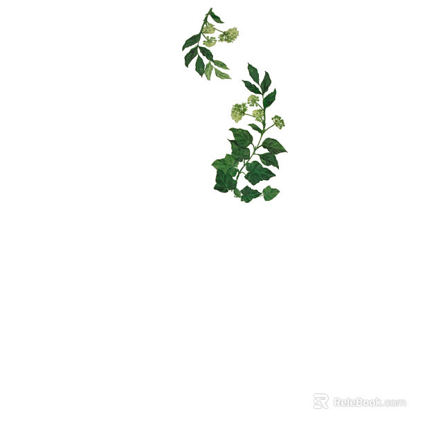 leaves texture