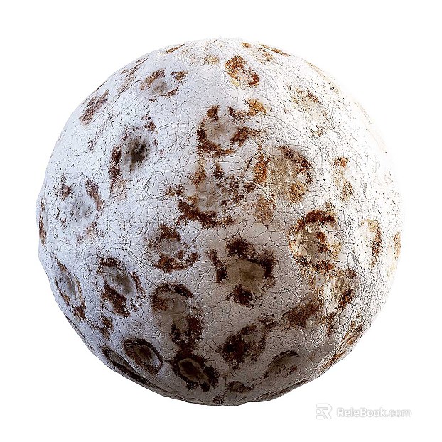 Dead Coral PBR texture