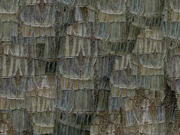 bark texture (ID:ffagg16772)