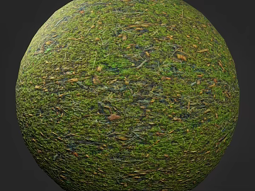 Grassland PBR texture (ID:ffach624351)