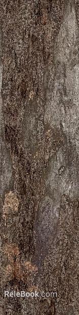 Dark gray rock texture wall stone texture