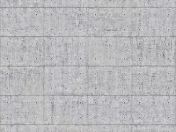 Cement board light gray cement brick texture (ID:ffajg57561)
