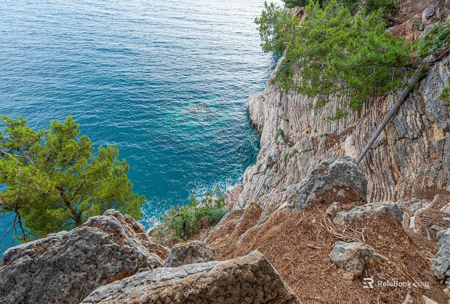 Wild Scenery texture