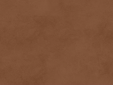 fine grain leather texture (ID:ffagg14591)