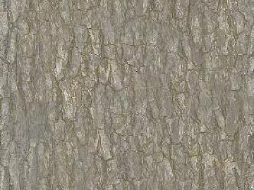 Grey brown imitation bark texture wall decoration (ID:ffaeh311566)