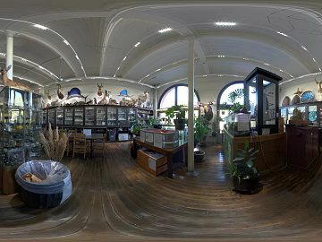 Indoor Shop Day HDR texture (ID:ffabg73911)