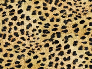 Animal Blanket texture (ID:ffabg13926)
