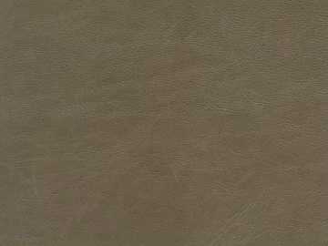 Coarse-grain leather texture (ID:ffaag91661)