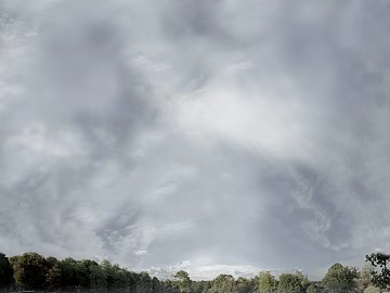 Wild Scenery texture (ID:ffacg54167)