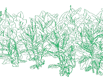 Plant painting texture (ID:ffaeg99420)