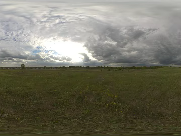 Field texture (ID:ffaeh134474)