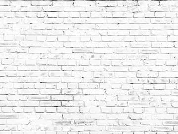 Brick wall white vintage old wall tiles 3d model