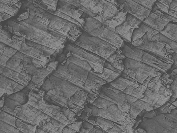 Dark gray bark wall decoration texture (ID:ffaeh438126)