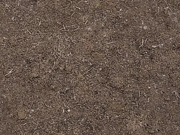 Mud 3d model