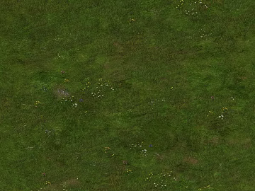 Turf texture (ID:ffacg59536)