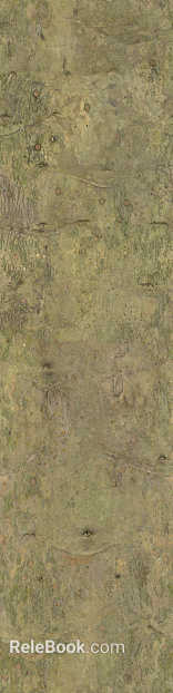 bark texture