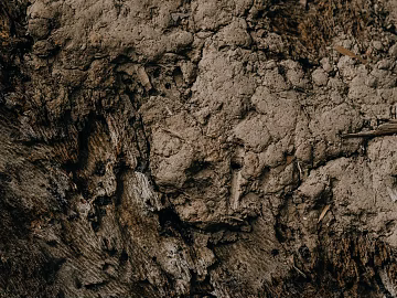 Soil texture (ID:ffagg40543)